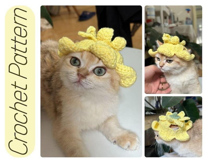 CROCHET PATTERN: Flower Fairy Hat, Hat for Cat, Crochet Pattern, Cat  Crochet, Crochet for pet, PDF Instant Download - Crochet Patterns